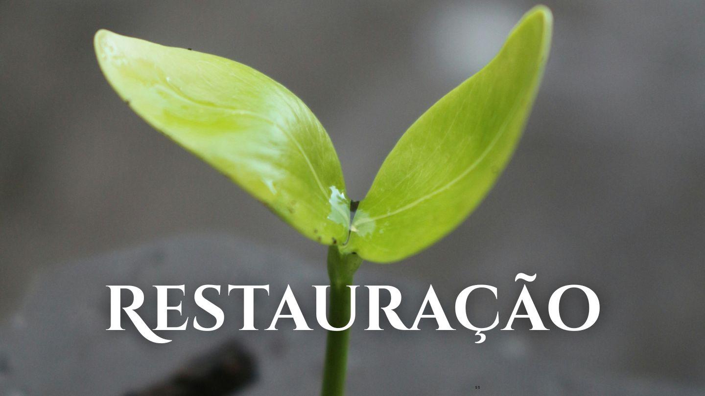 Restauração