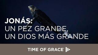Jonás: Un pez grande, un Dios más grande