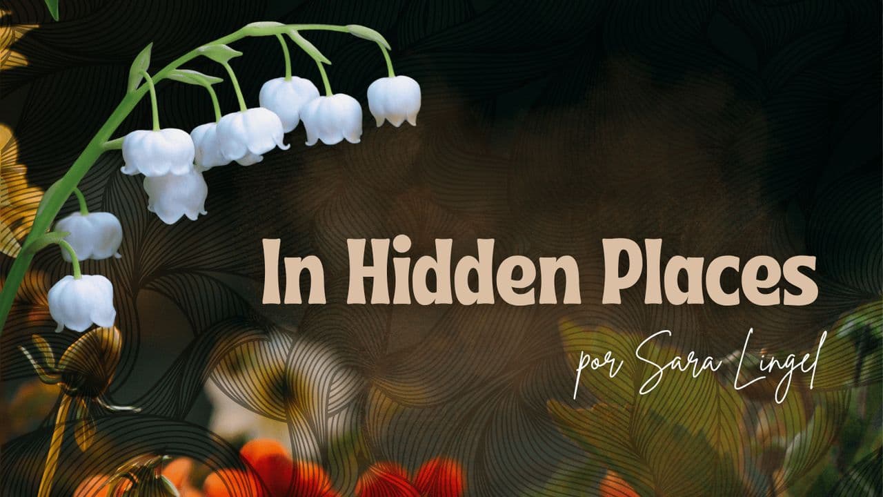 In Hidden Places