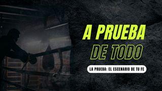 A prueba de todo