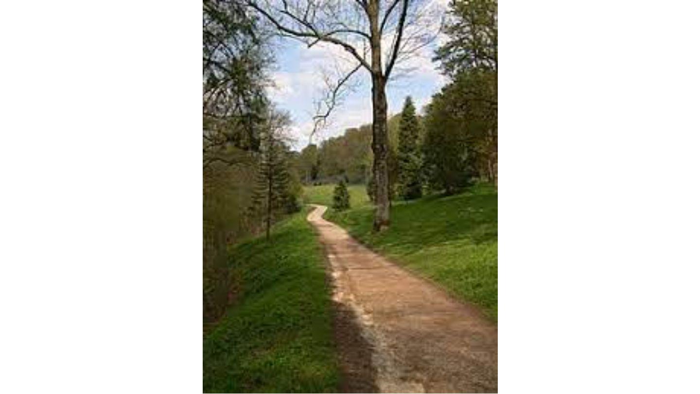 The Road Home: Reflections of a Prodigal 2 Chronicles 7:19-20 King James Version