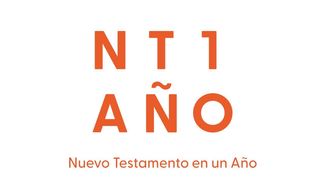 Nuevo Testamento en un Año | Guía de Audio Diaria