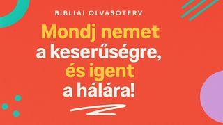 Mondj nemet a keserűségre, és igent a hálára!