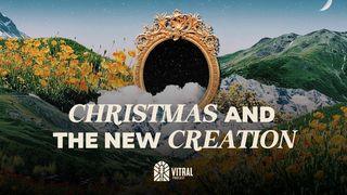 Christmas and the New Creation