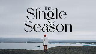 The Single Season