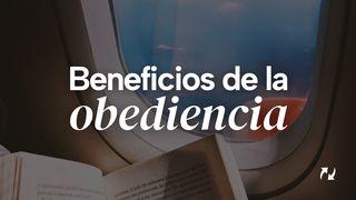 Beneficios de la obediencia