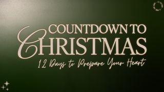 Countdown to Christmas: 12 Days to Prepare Your Heart