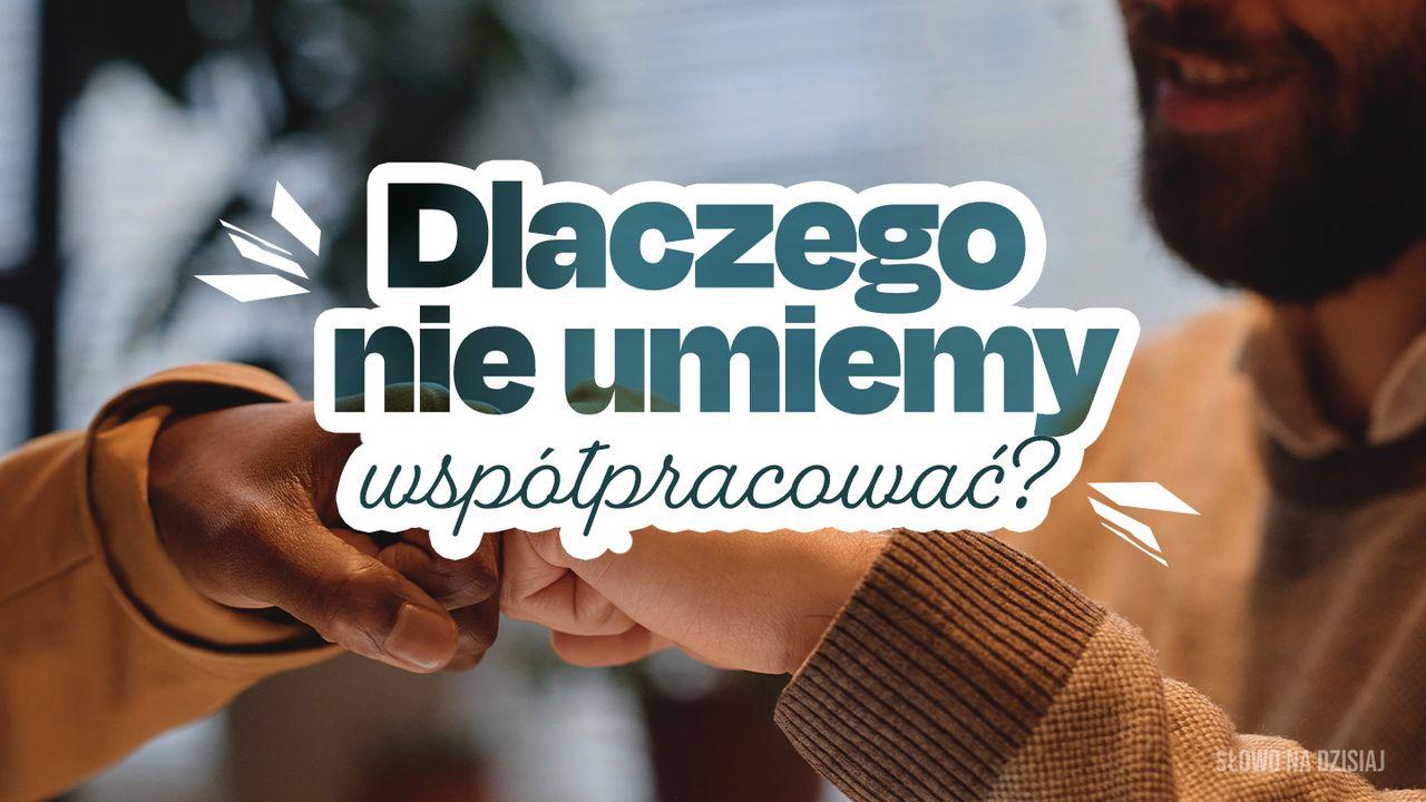 Dlaczego nie umiemy współpracować?