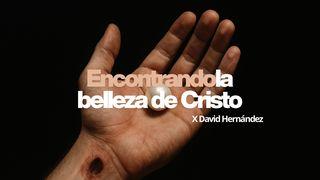 Encontrando la belleza de Cristo