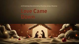Love Came Down: A Christmas Devotional