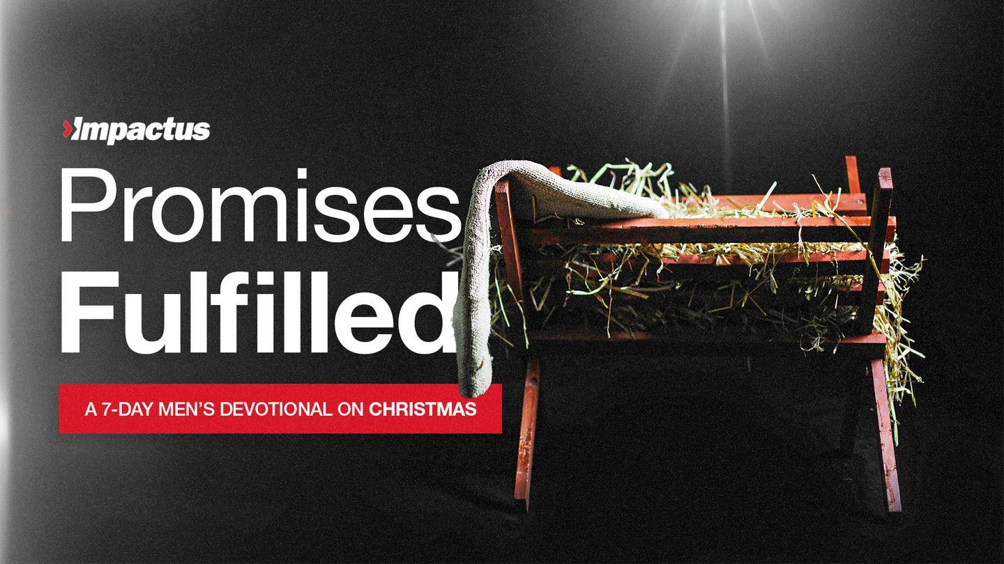 Promises Fulfilled: A Men's Devotional on Christmas