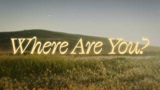 Where Are You? A Theology of Suffering