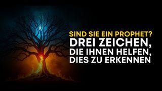 Sind Sie ein Prophet? Drei Zeichen, die Ihnen helfen, dies zu erkennen
