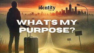 What's My Life's Purpose