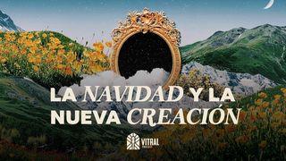 La Navidad Y La Nueva Creación