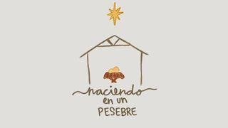 Naciendo en Un Pesebre