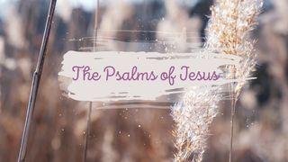 The Psalms of Jesus