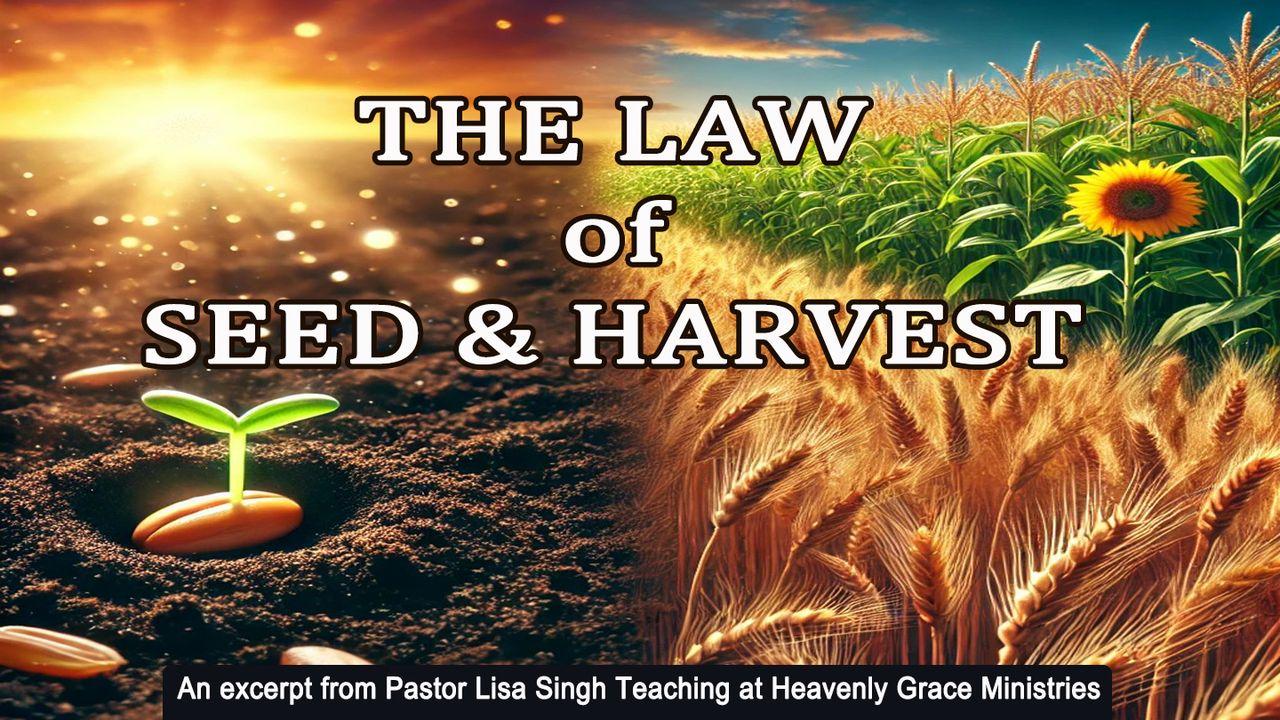 The Law of Seed and Harvest