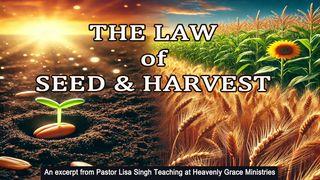 The Law of Seed and Harvest