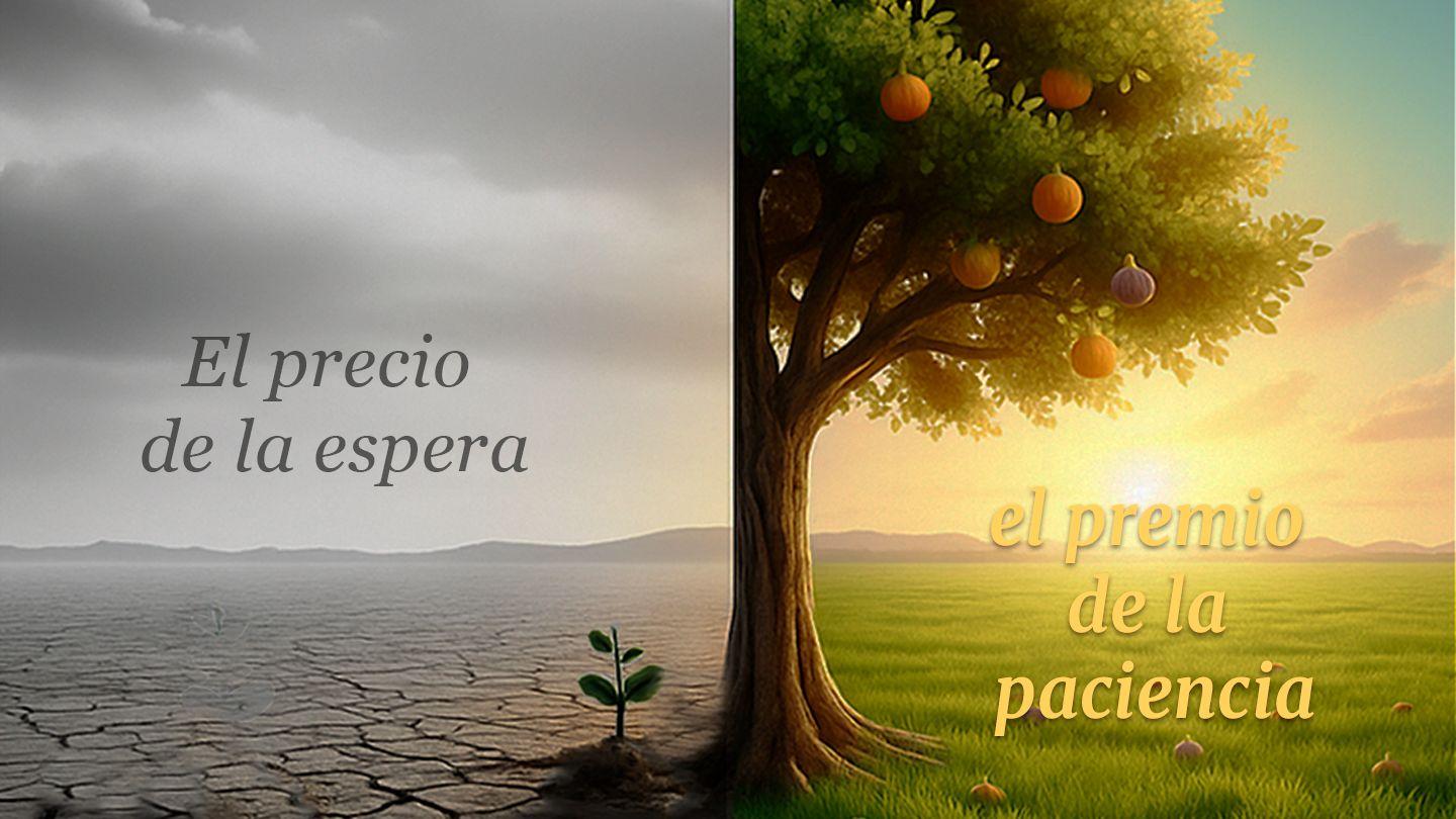 El Precio De La Espera, El Premio De La Paciencia