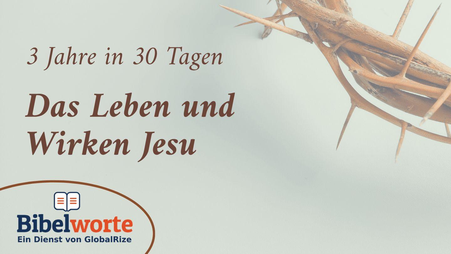 3 Jahre in 30 Tagen: Das Leben und Wirken Jesu Matthäus 13:34-43 Hoffnung für alle