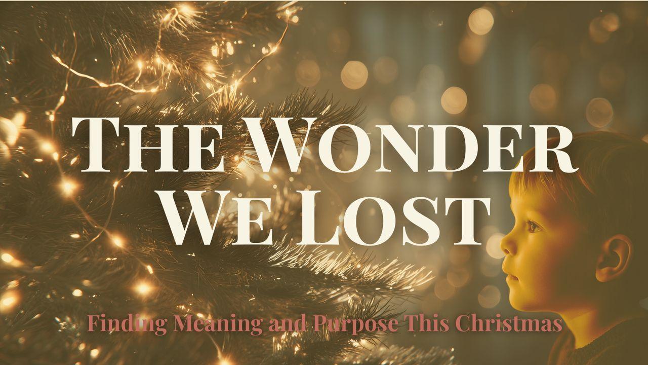 The Wonder We Lost