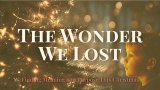 The Wonder We Lost