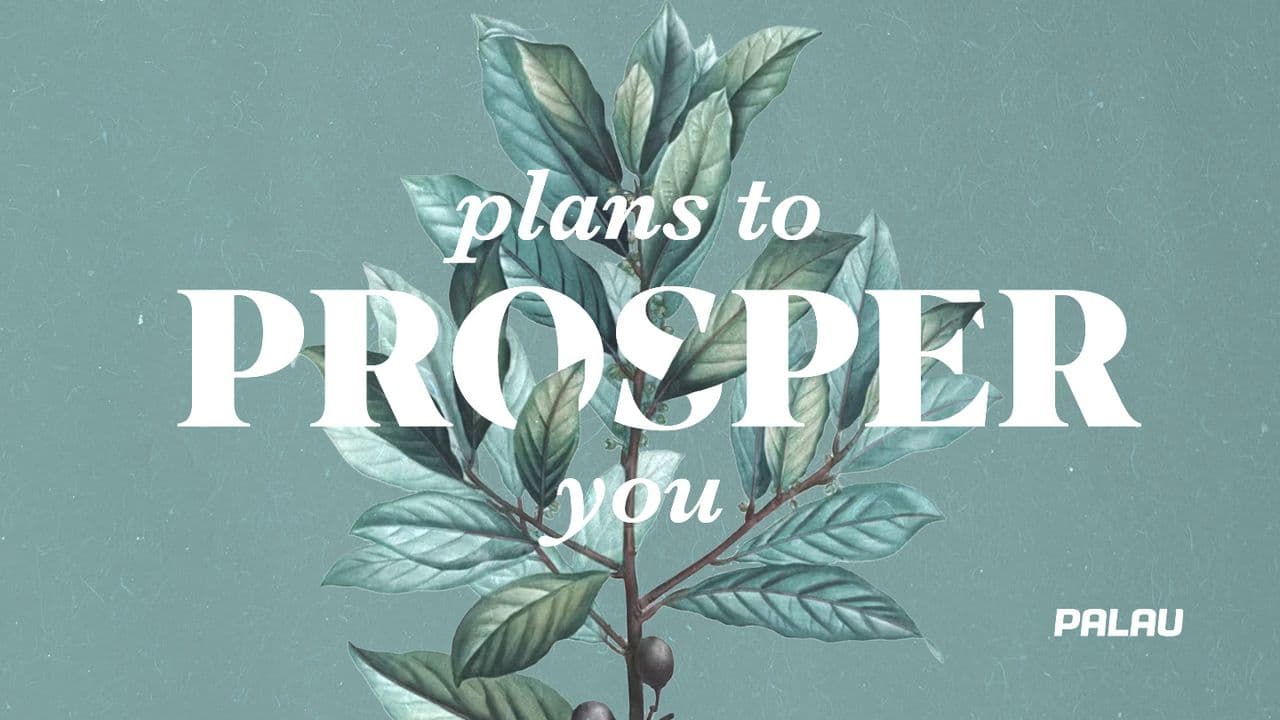 Plans to Prosper You