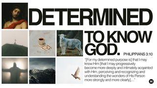 Determined to Know God