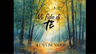 Mi Fido Di Te