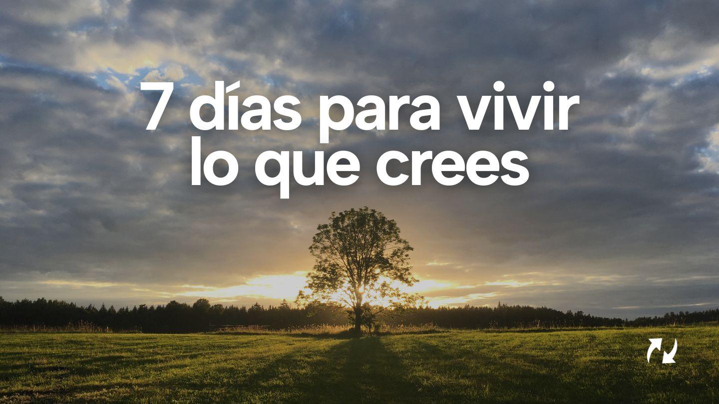 7 Días Para Vivir Lo Que Crees Tito 3:1-2 Dios habla hoy 4ta. edición. Estándar.