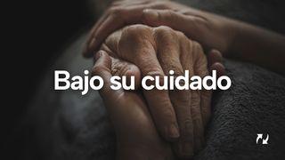 Bajo Su Cuidado