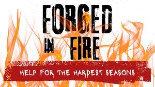 Forged by Fire: Help for Life's Hardest Seasons