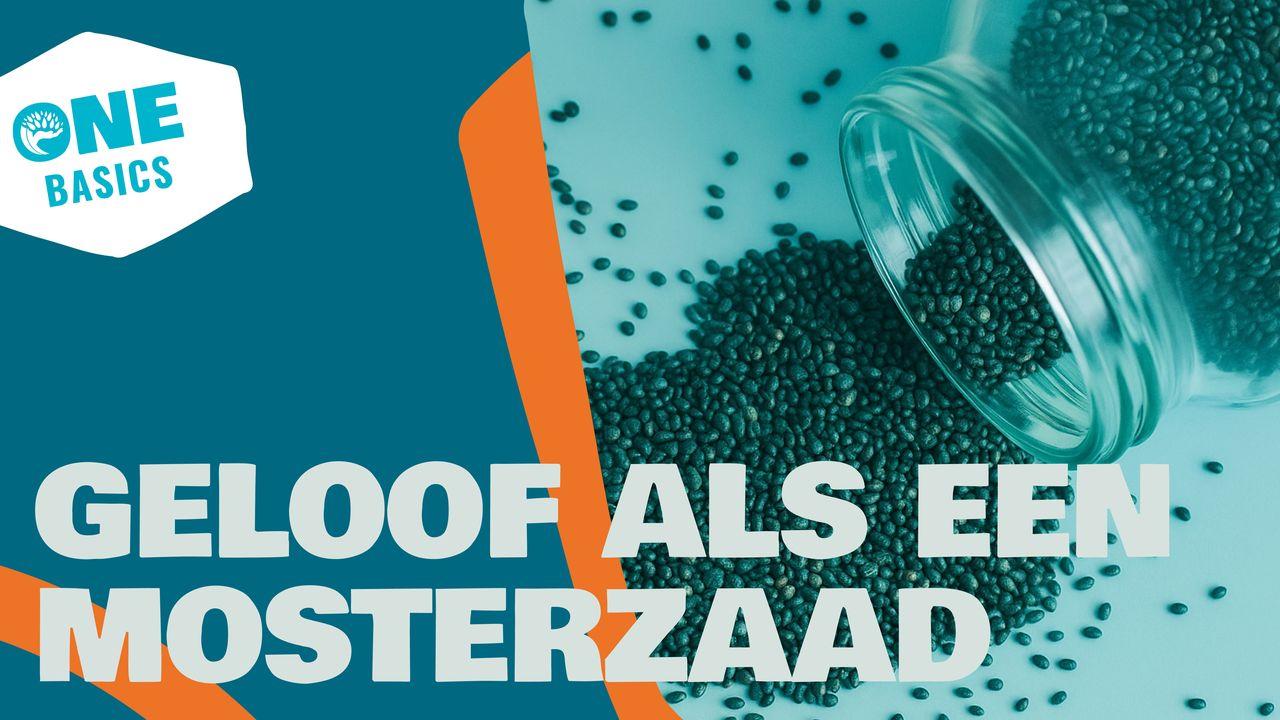 Geloof als een mosterdzaad