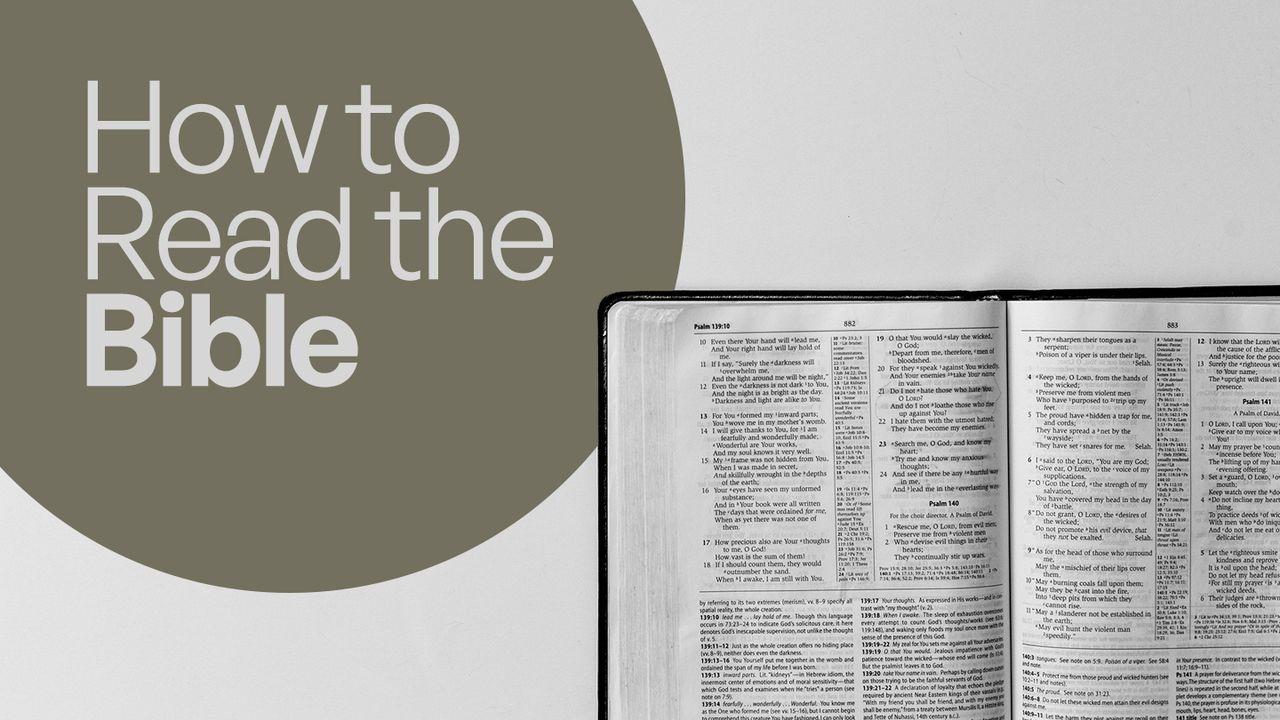 How to Read the Bible: Essentials