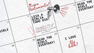 Novo Testamento Em 2 Meses