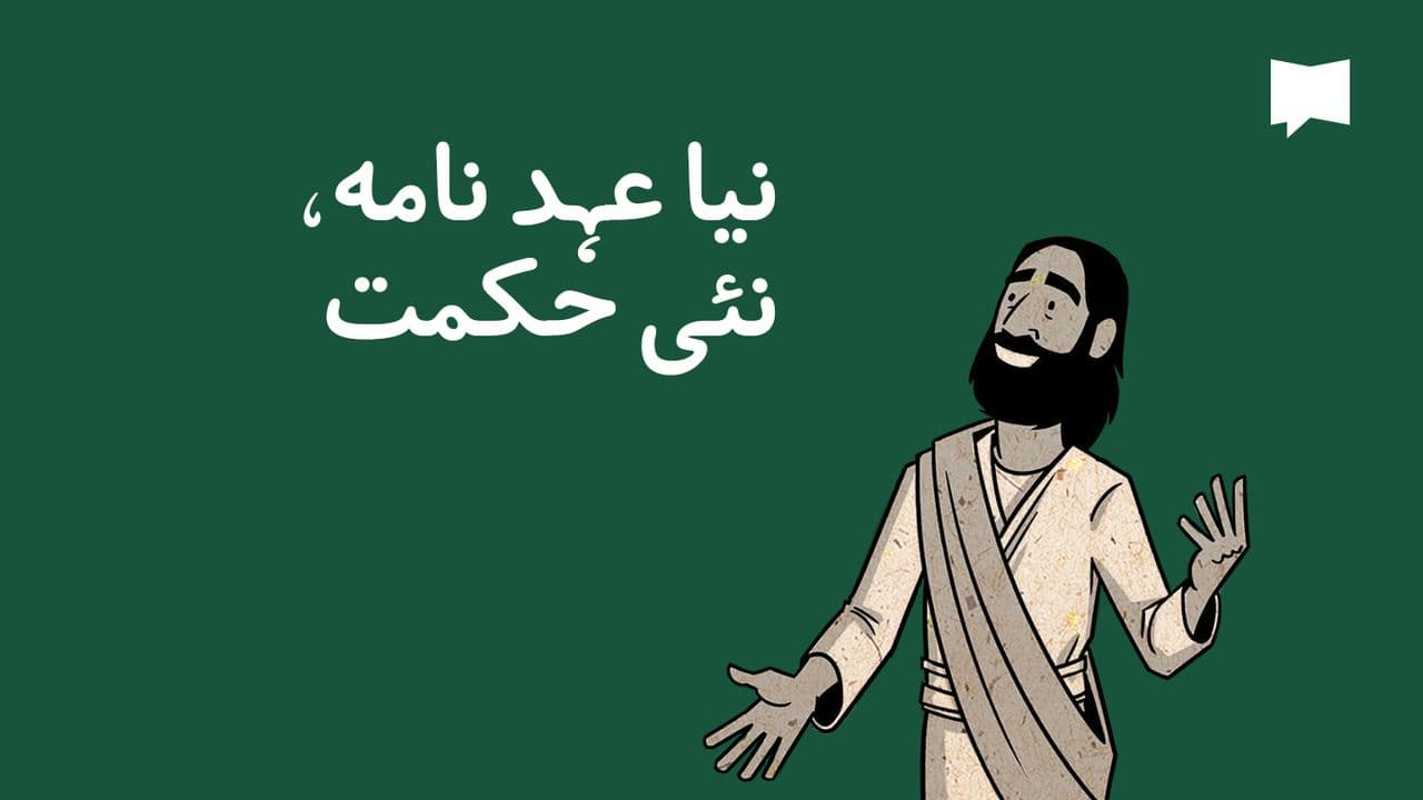نیا عہد نامہ، نئی حکمت | BibleProject