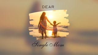 Dear Single Mom