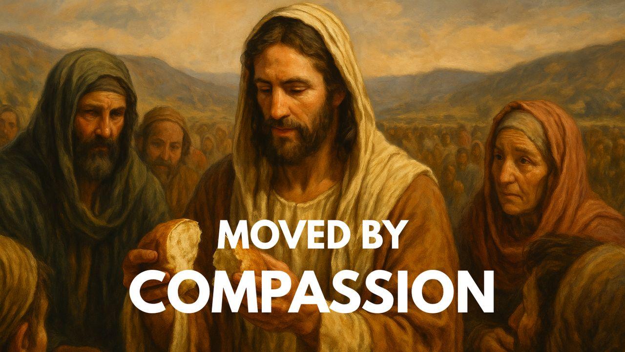 Moved by Compassion  - Learning to See as Jesus Sees