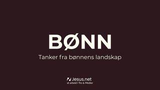 Bønn - Tanker fra bønnens landskap