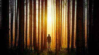 ဗက်ဇဲဒမျက်မမြင်ဇာတ်တော်မှ သင်ခန်းစာ