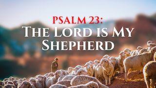 Psalm 23: The Lord Is My Shepherd