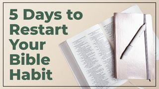 5 Days to Restart Your Bible Habit