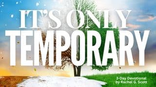 It’s Only Temporary- Discerning Temporary vs Permanent Transition
