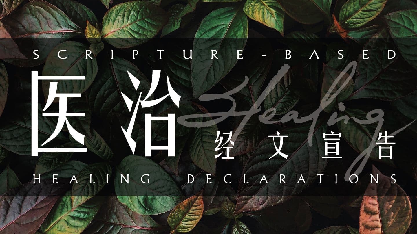 医治经文宣告 1 Pedro 2:24-25 El Nuevo Testamento, Salmos y Proverbios
