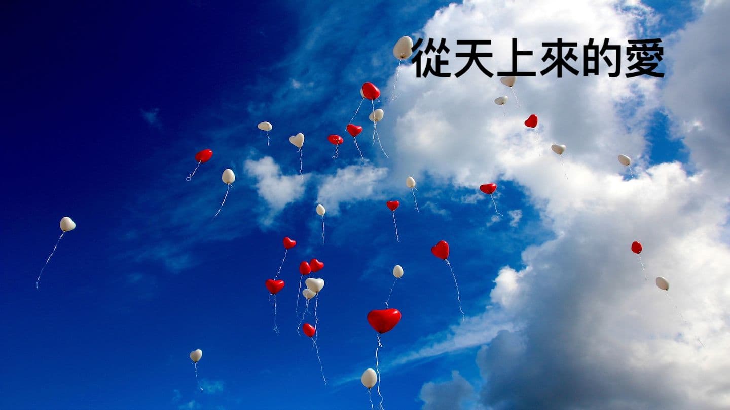 從天上來的愛 Eclesiastés 11:1-10 Reina Valera Contemporánea