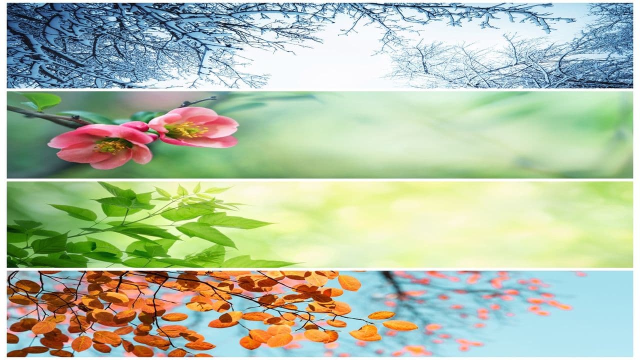 Times and Seasons in His Hands - Divine Timing