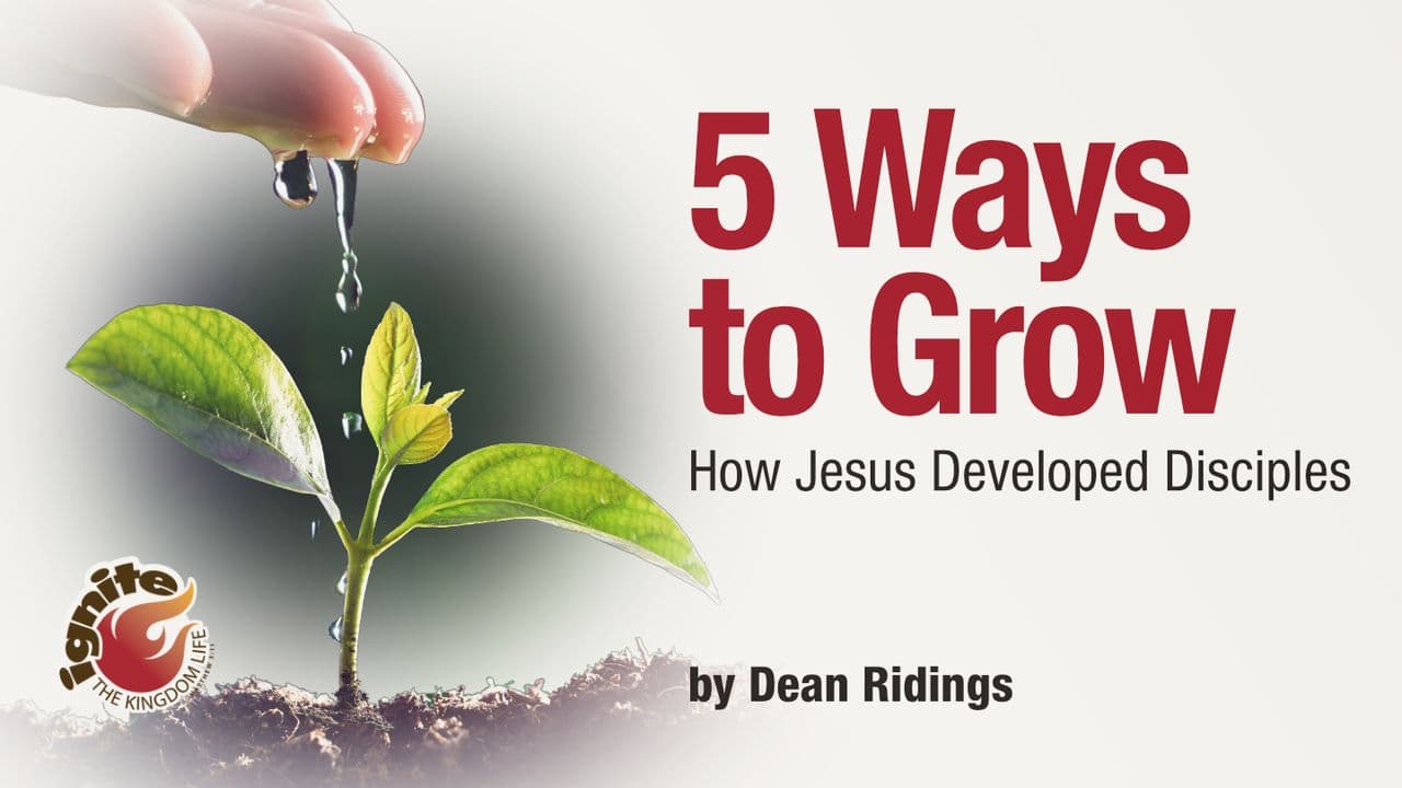 Five Ways to Grow