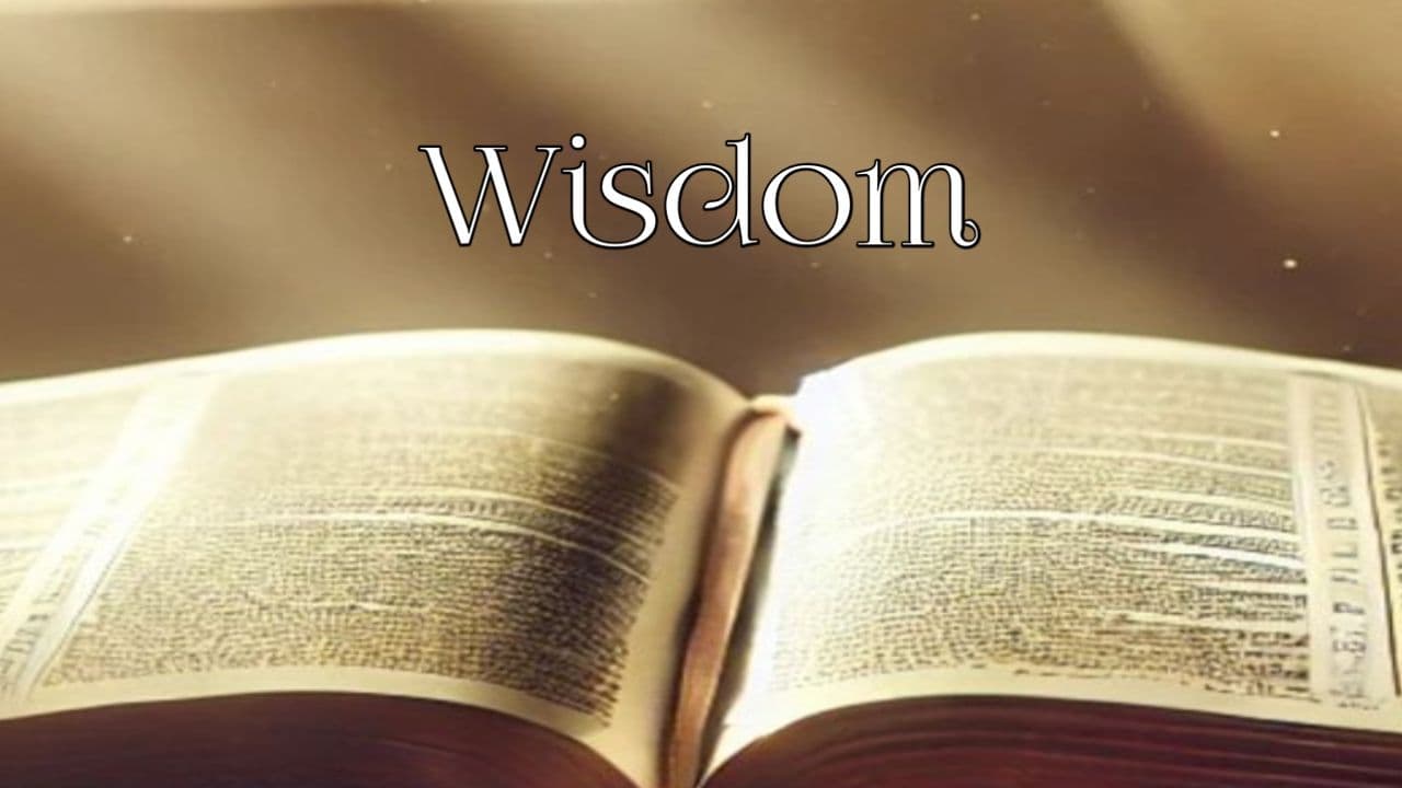 Wisdom