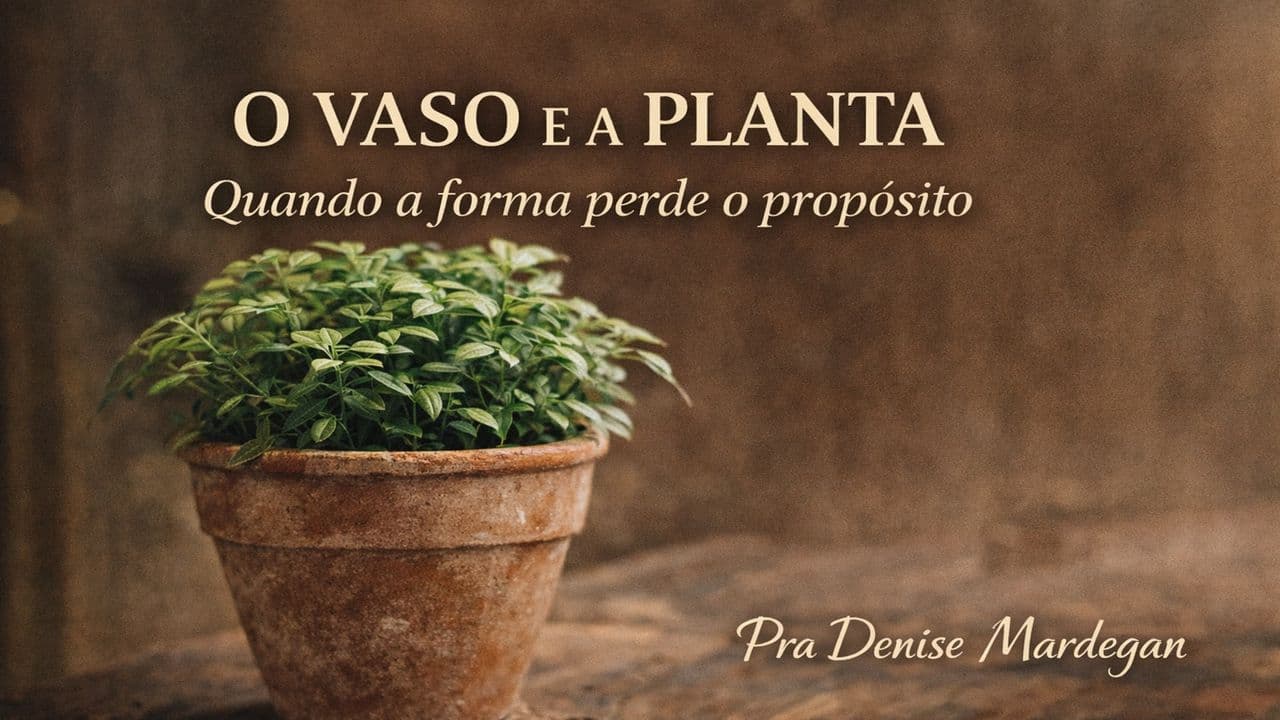 O Vaso e a Planta
